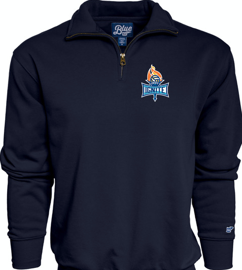 Navy Big Detroit 1/4 Zip