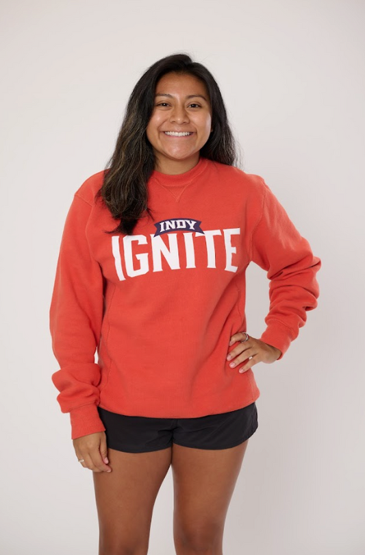 Flame Sanded Fleece Crew